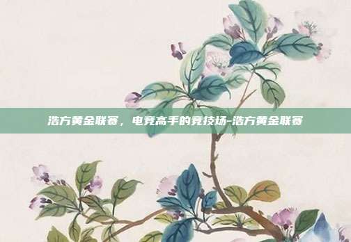 浩方黄金联赛,电竞高手的竞技场-浩方黄金联赛