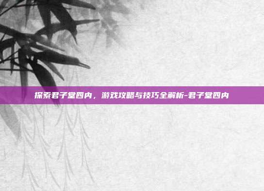 探索君子堂四内,游戏攻略与技巧全解析-君子堂四内