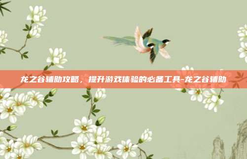 龙之谷辅助攻略,提升游戏体验的必备工具-龙之谷辅助