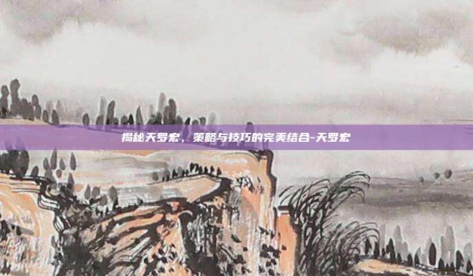 揭秘天罗宏,策略与技巧的完美结合-天罗宏