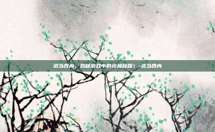 武当四内,揭秘游戏中的终极秘籍!-武当四内