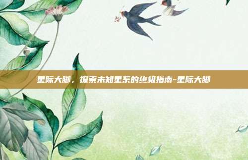 星际大脚,探索未知星系的终极指南-星际大脚