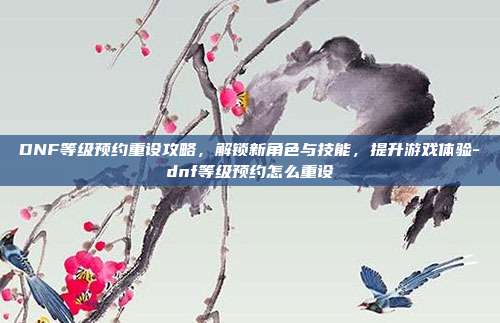 DNF等级预约重设攻略,解锁新角色与技能,提升游戏体验-dnf等级预约怎么重设