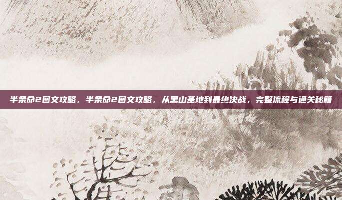 半条命2图文攻略,半条命2图文攻略,从黑山基地到最终决战,完整流程与通关秘籍