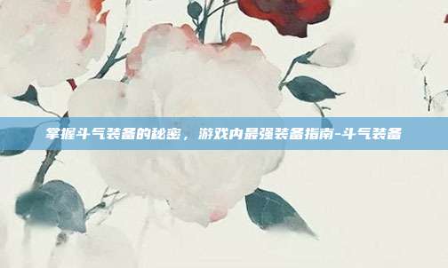 掌握斗气装备的秘密,游戏内最强装备指南-斗气装备