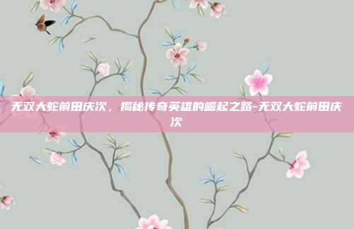 无双大蛇前田庆次,揭秘传奇英雄的崛起之路-无双大蛇前田庆次