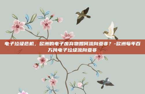 电子垃圾危机,欧洲的电子废弃物如何流向亚非?-欧洲每年百万吨电子垃圾流向亚非