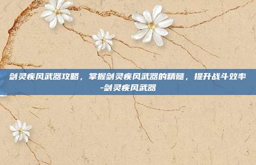 剑灵疾风武器攻略,掌握剑灵疾风武器的精髓,提升战斗效率-剑灵疾风武器