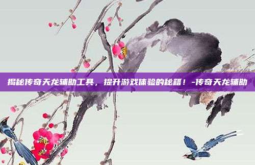 揭秘传奇天龙辅助工具,提升游戏体验的秘籍!-传奇天龙辅助