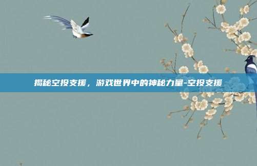 揭秘空投支援,游戏世界中的神秘力量-空投支援