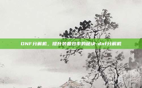 DNF分解机,提升装备效率的秘诀-dnf分解机