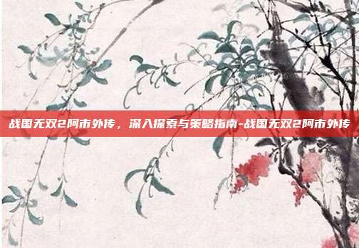 战国无双2阿市外传,深入探索与策略指南-战国无双2阿市外传