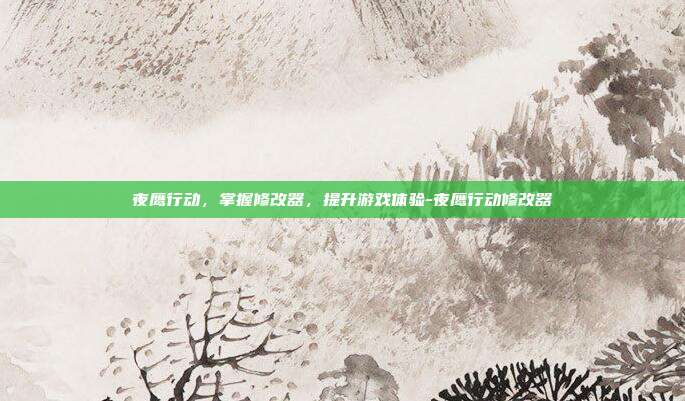 夜鹰行动,掌握修改器,提升游戏体验-夜鹰行动修改器