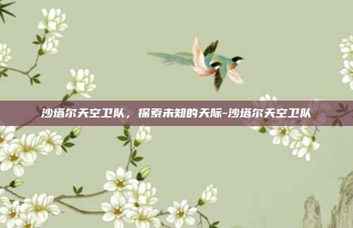 沙塔尔天空卫队,探索未知的天际-沙塔尔天空卫队