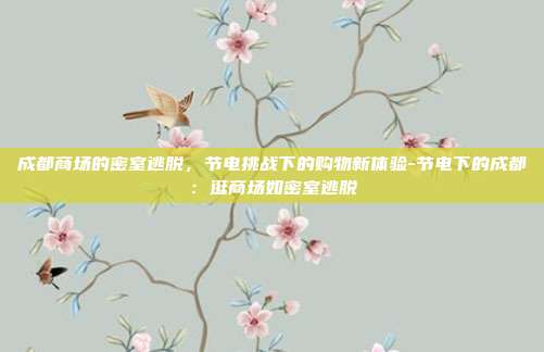 成都商场的密室逃脱,节电挑战下的购物新体验-节电下的成都:逛商场如密室逃脱