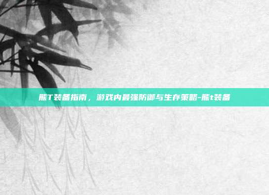 熊T装备指南,游戏内最强防御与生存策略-熊t装备
