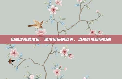 狙击步枪瞄准镜,瞄准镜后的世界,当光影与极限相遇