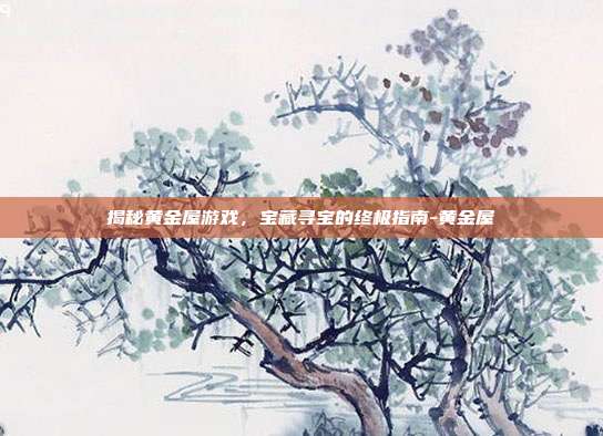 揭秘黄金屋游戏,宝藏寻宝的终极指南-黄金屋