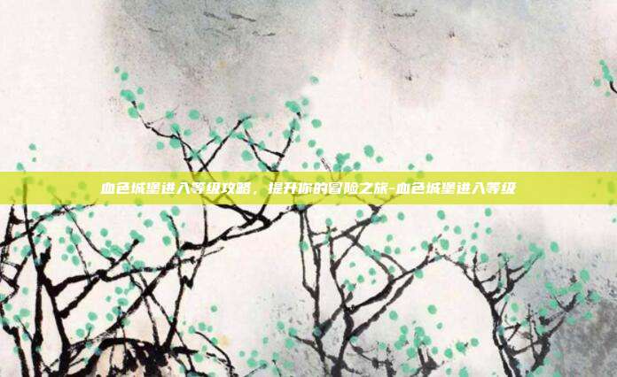 血色城堡进入等级攻略,提升你的冒险之旅-血色城堡进入等级