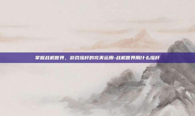 掌握战机世界,游戏摇杆的完美运用-战机世界用什么摇杆