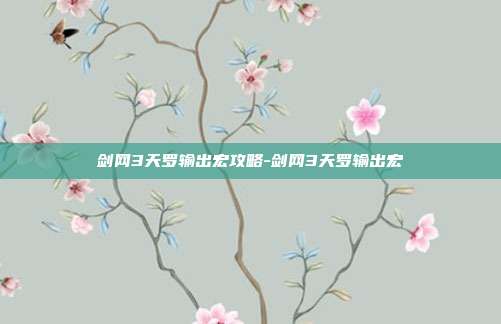 剑网3天罗输出宏攻略-剑网3天罗输出宏