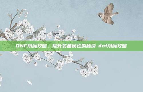 DNF附魔攻略,提升装备属性的秘诀-dnf附魔攻略