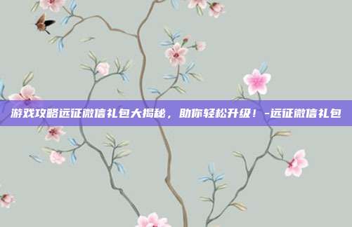 游戏攻略远征微信礼包大揭秘,助你轻松升级!-远征微信礼包