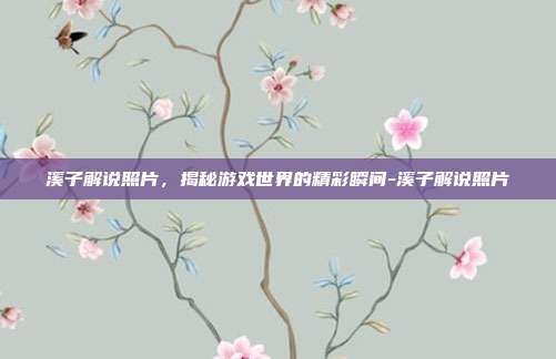 溪子解说照片,揭秘游戏世界的精彩瞬间-溪子解说照片