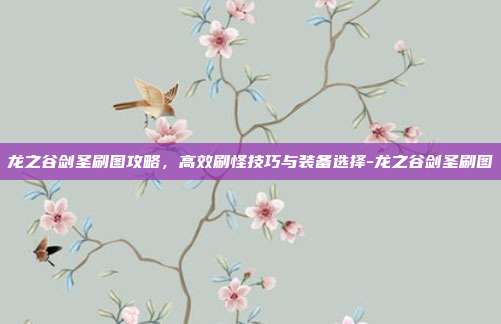 龙之谷剑圣刷图攻略,高效刷怪技巧与装备选择-龙之谷剑圣刷图