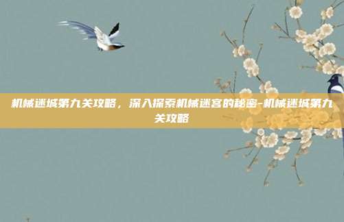 机械迷城第九关攻略,深入探索机械迷宫的秘密-机械迷城第九关攻略