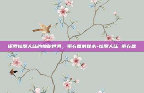 探索神魔大陆的神秘世界,薰衣草的秘密-神魔大陆 薰衣草