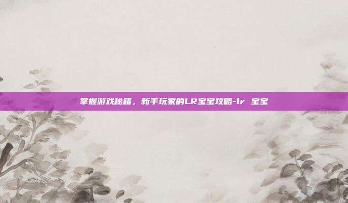 掌握游戏秘籍,新手玩家的LR宝宝攻略-lr 宝宝