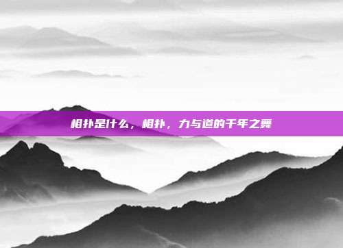 相扑是什么,相扑,力与道的千年之舞