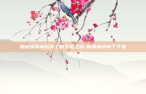 揭秘传奇内功补丁的下载之旅-传奇内功补丁下载