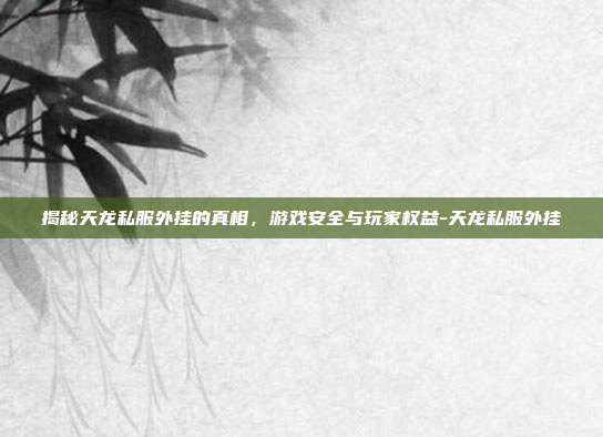 揭秘天龙私服外挂的真相,游戏安全与玩家权益-天龙私服外挂