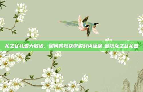 龙之谷礼包大放送,如何高效获取游戏内福利-多玩龙之谷礼包