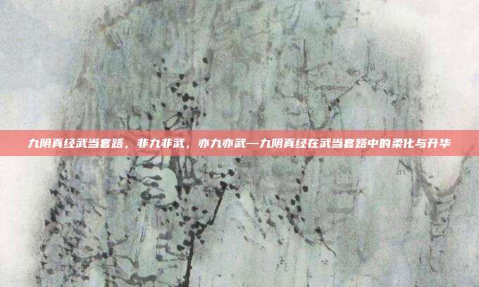 九阴真经武当套路,非九非武,亦九亦武—九阴真经在武当套路中的柔化与升华