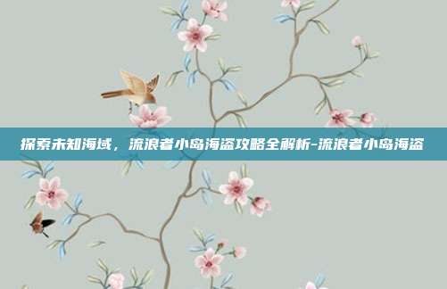 探索未知海域,流浪者小岛海盗攻略全解析-流浪者小岛海盗