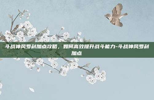 斗战神风罗刹加点攻略,如何高效提升战斗能力-斗战神风罗刹加点