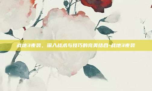 战地3夜袭,深入战术与技巧的完美结合-战地3夜袭