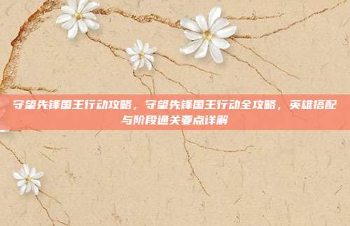 守望先锋国王行动攻略,守望先锋国王行动全攻略,英雄搭配与阶段通关要点详解