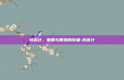 后宫计,策略与智慧的较量-后宫计