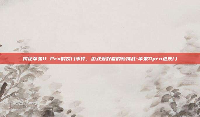 揭秘苹果11 Pro的灰门事件,游戏爱好者的新挑战-苹果11pro进灰门