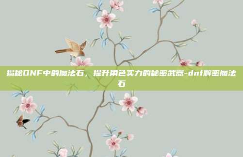 揭秘DNF中的魔法石,提升角色实力的秘密武器-dnf解密魔法石