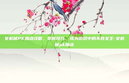 女机械PK加点攻略,掌握技巧,成为游戏中的不败女王-女机械pk加点