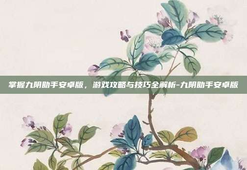 掌握九阴助手安卓版,游戏攻略与技巧全解析-九阴助手安卓版