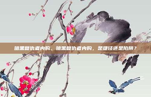 暗黑复仇者内购,暗黑复仇者内购,是捷径还是陷阱?