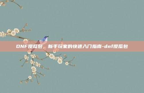 DNF傻瓜包,新手玩家的快速入门指南-dnf傻瓜包