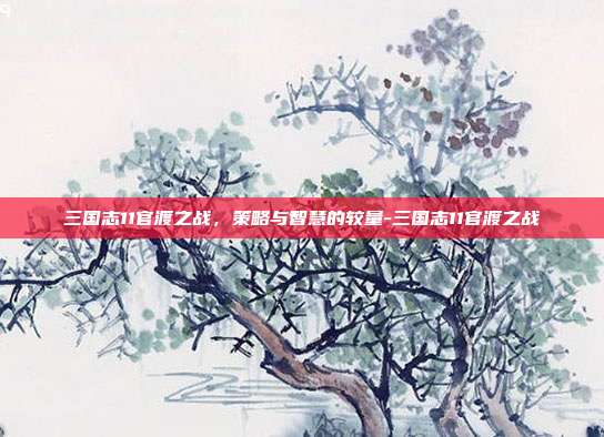 三国志11官渡之战,策略与智慧的较量-三国志11官渡之战