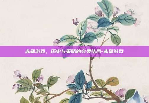 赤壁游戏,历史与策略的完美结合-赤壁游戏